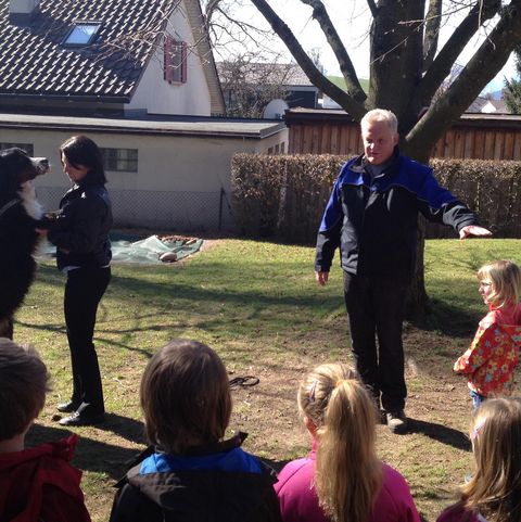 Hunde sind gross Hunde sind gross