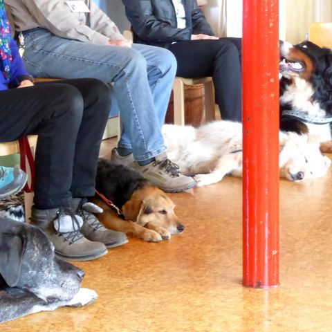 Enge Platzverhältnisse im Kindergarten Enge Platzverhältnisse im Kindergarten