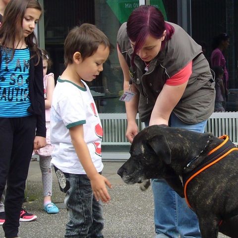 Kind begrüsst Hund Kind begrüsst Hund